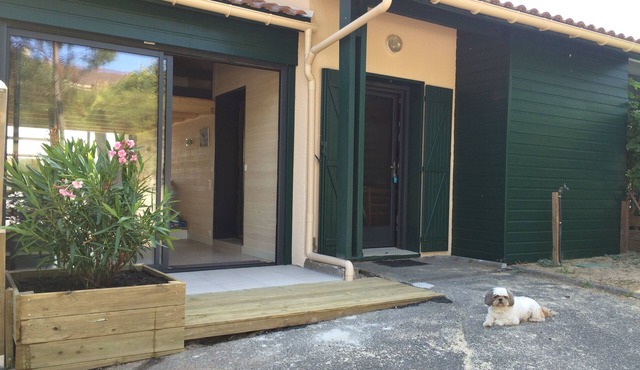 Semi-detached villa under the pines with mezzanine garden and shared pool