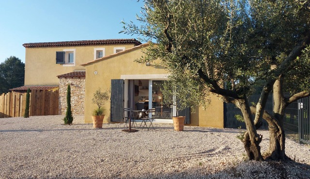Studio surrounded by olive trees