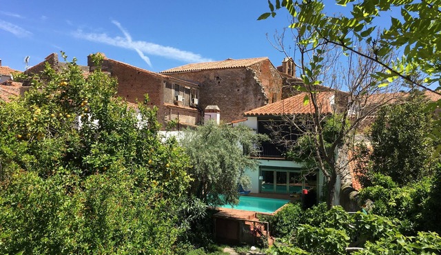 Studio with garden view - Hotel El Baciyelmo