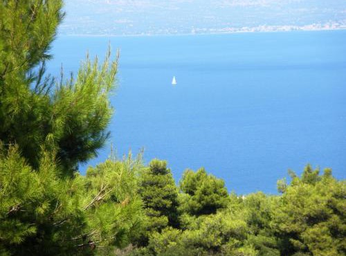 Studio Xanthippe