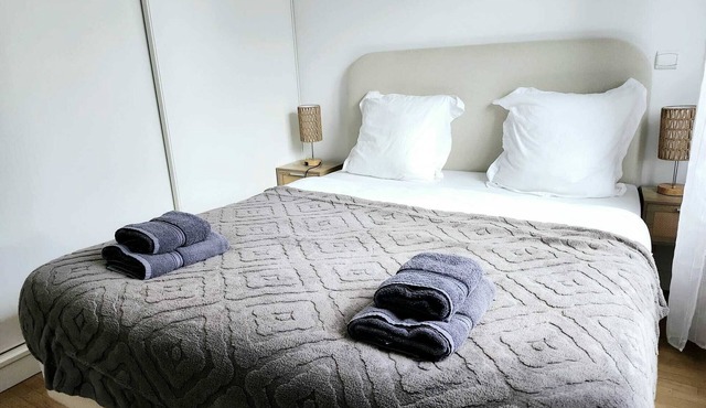 Sublime luxury apartment in Charenton-le-Pont