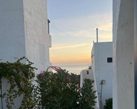 Thalia Bloom Villa Apartments