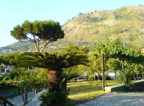 Villa Angelo