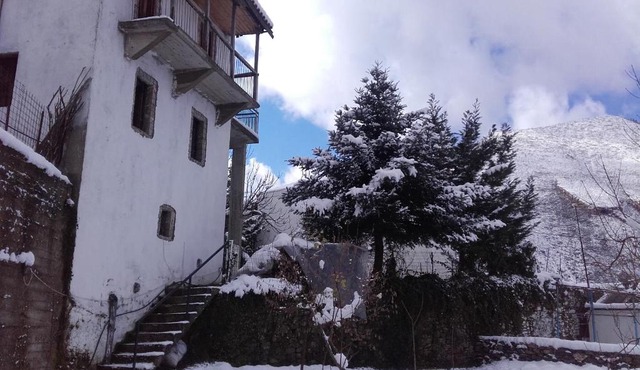 Villa Artemis and apartments