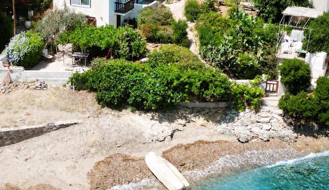 Villa Mimosa Poros Beachfront Apartments