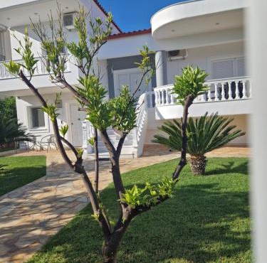 Villa Orangerie - Where Luxury Meets Serenity