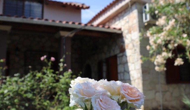 Villa Polytimi