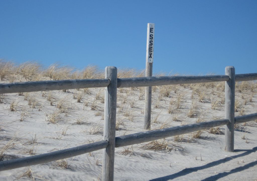 Photo of Others in Harvey Cedars