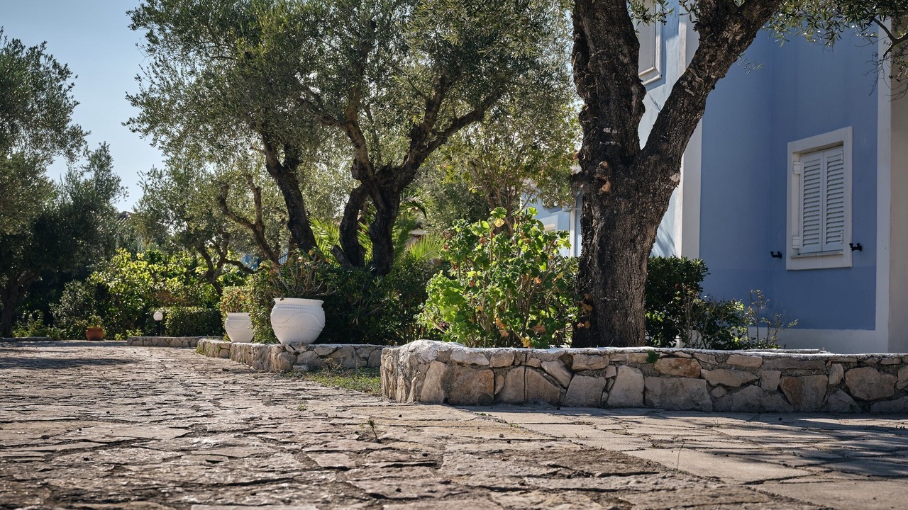 Photo of Outdoor in Vasilikos