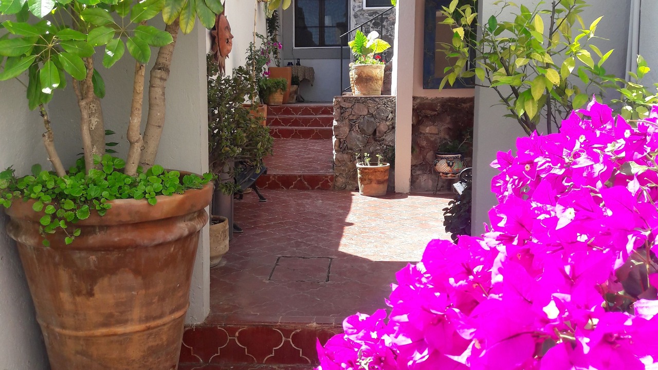Photo of Outdoor in Zona Centro