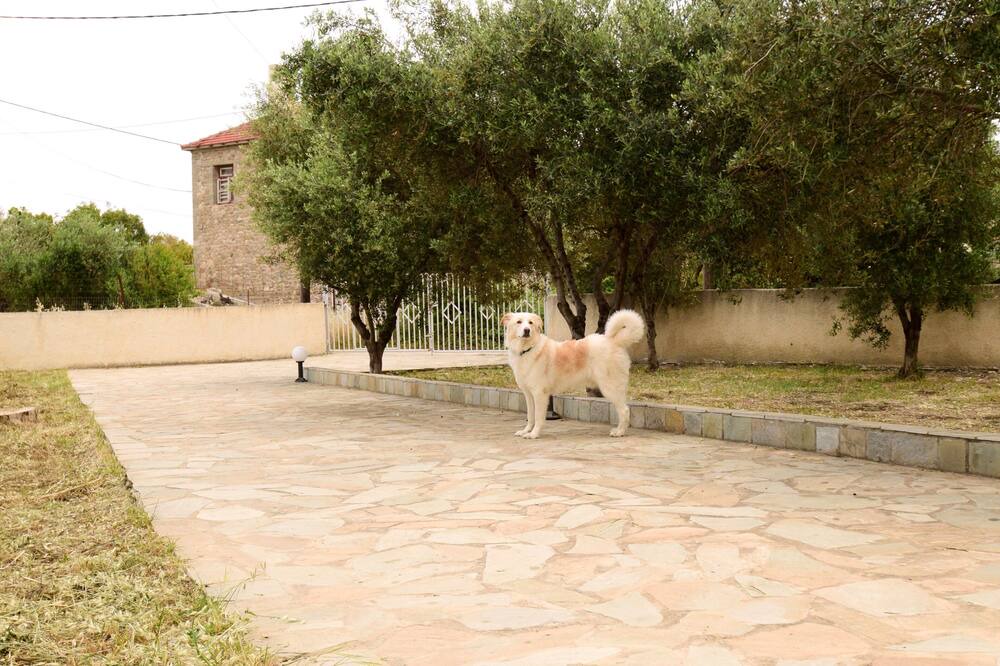 Photo of Outdoor in Evrostina