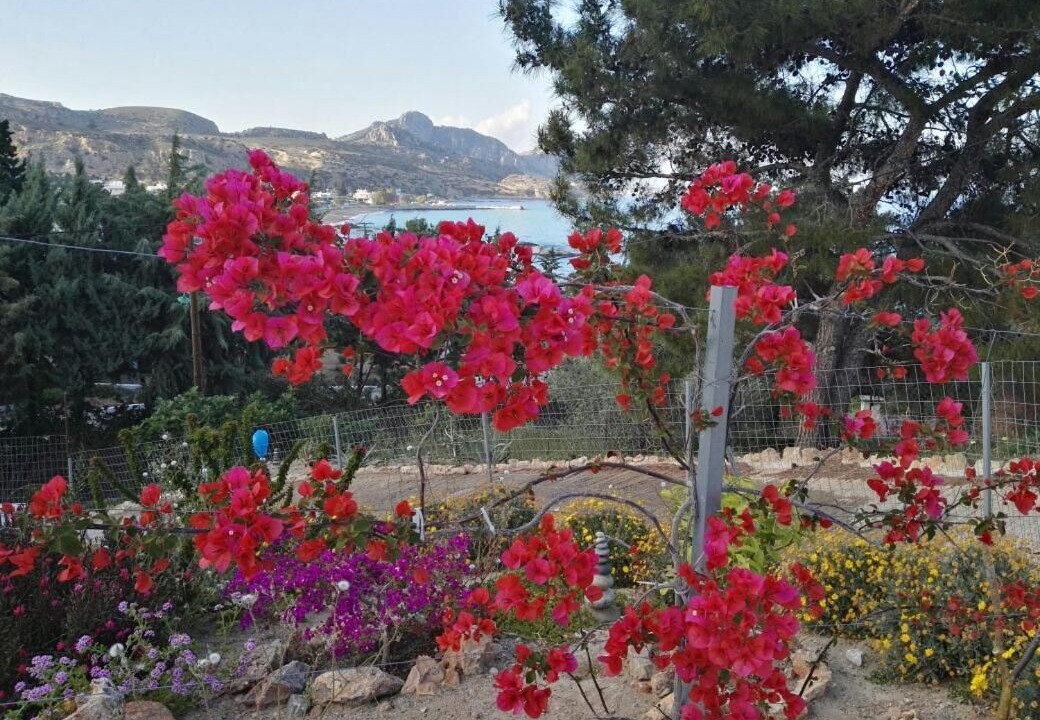 Photo of Outdoor in Stegna