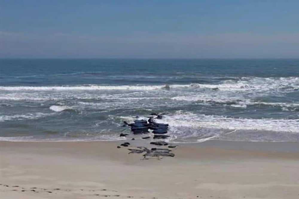 Photo of Others in Harvey Cedars