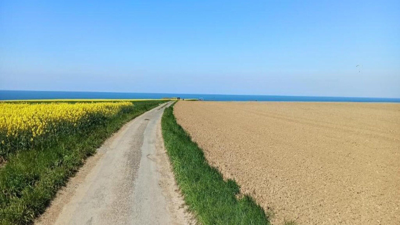 Photo of Others in Tracy-sur-Mer