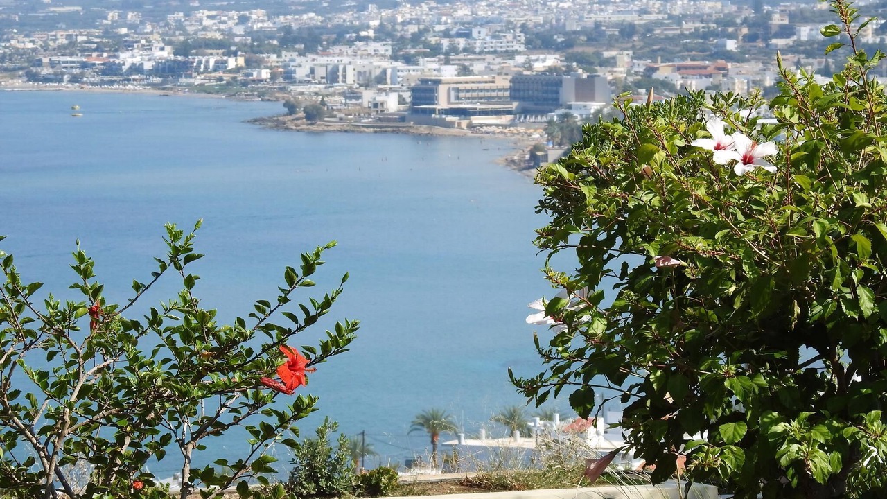 Photo of Others in Stalida