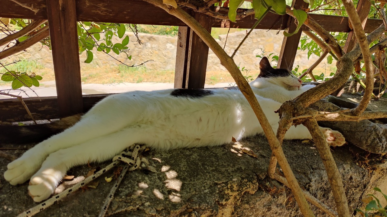 Photo of Others in Pyrgos Psilonerou