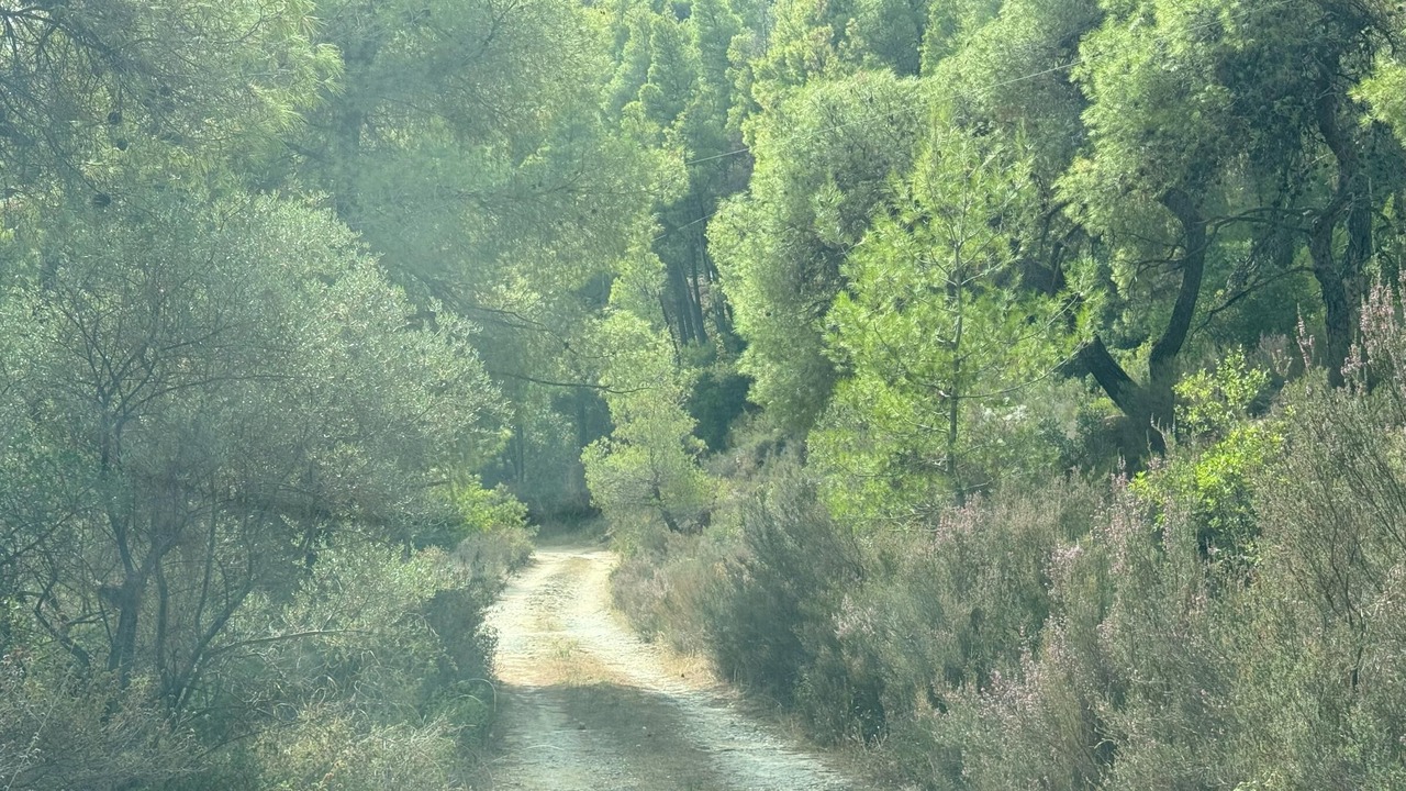 Photo of Others in Sithonia