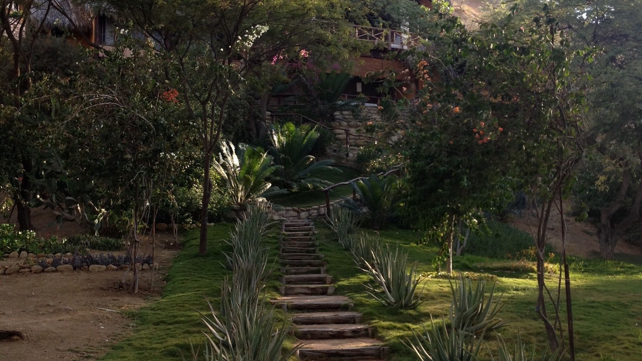 Photo of Outdoor in Mancora