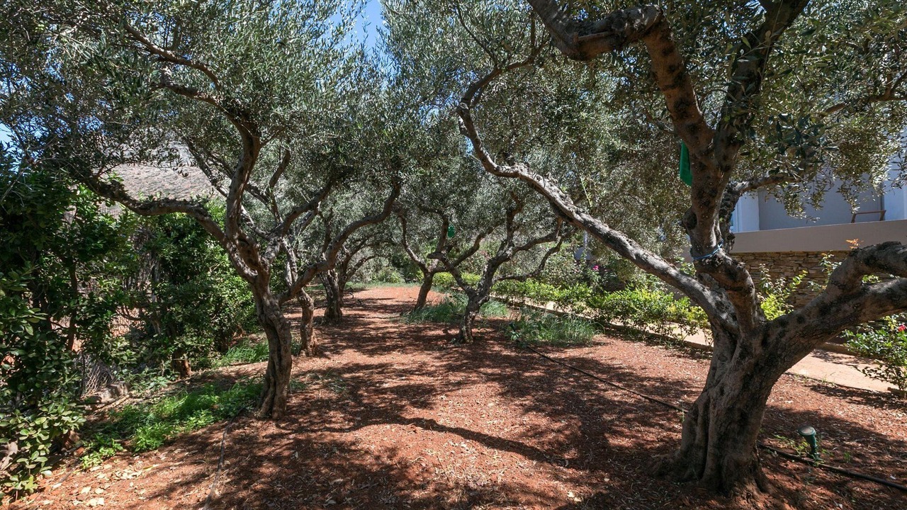 Photo of Others in Stavros