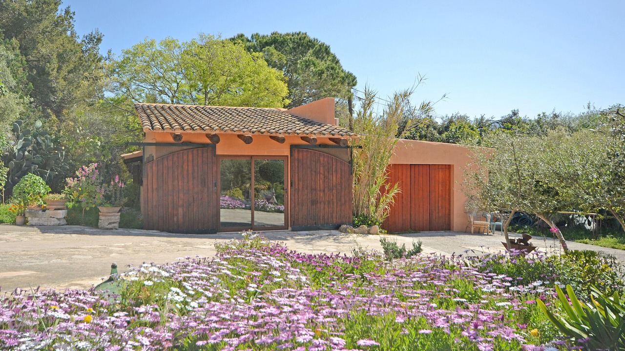 Photo of Outdoor in Alcudia