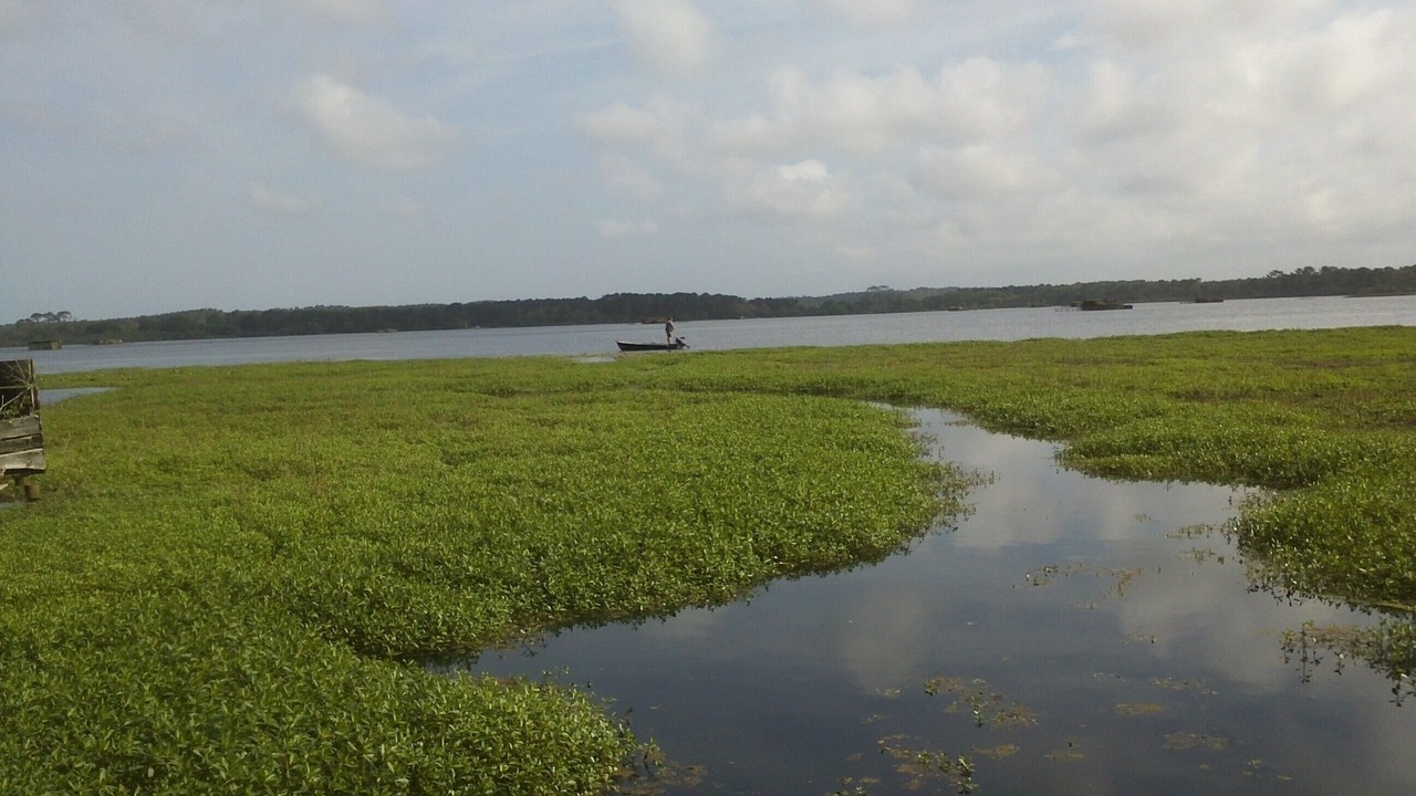 Photo of Others in Moliets-et-Maa