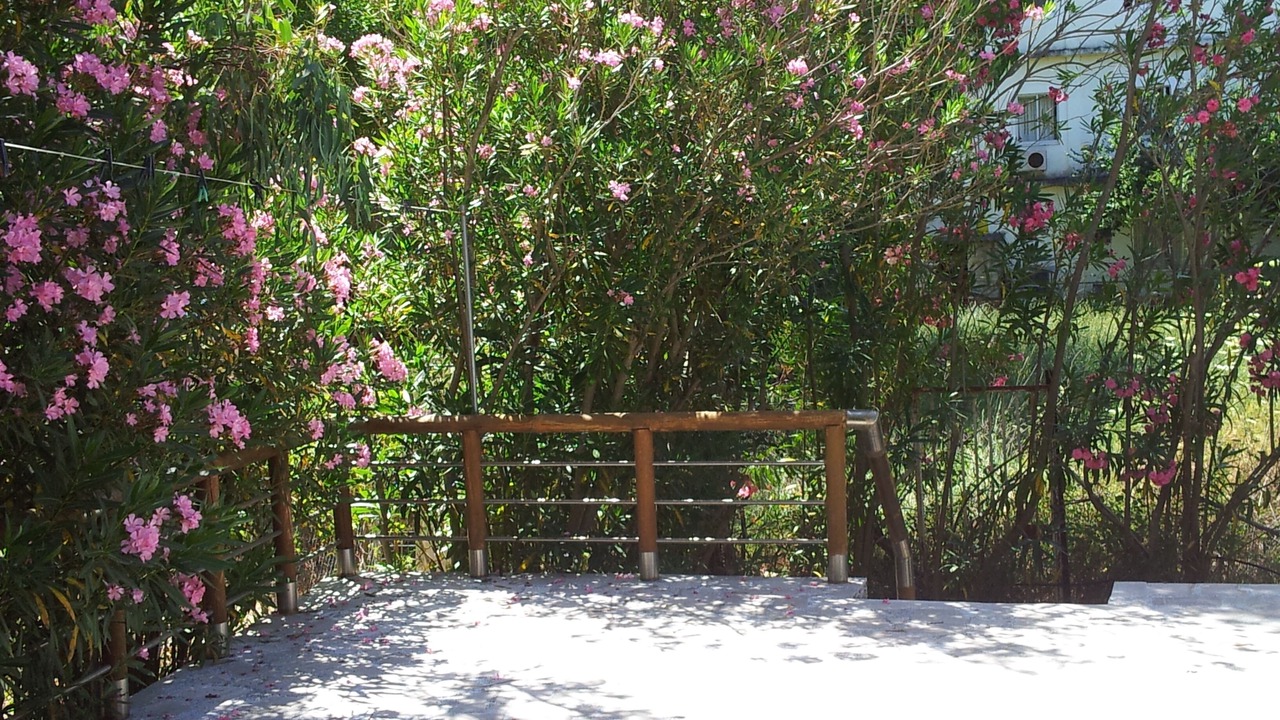Photo of Others in Agios Andreas