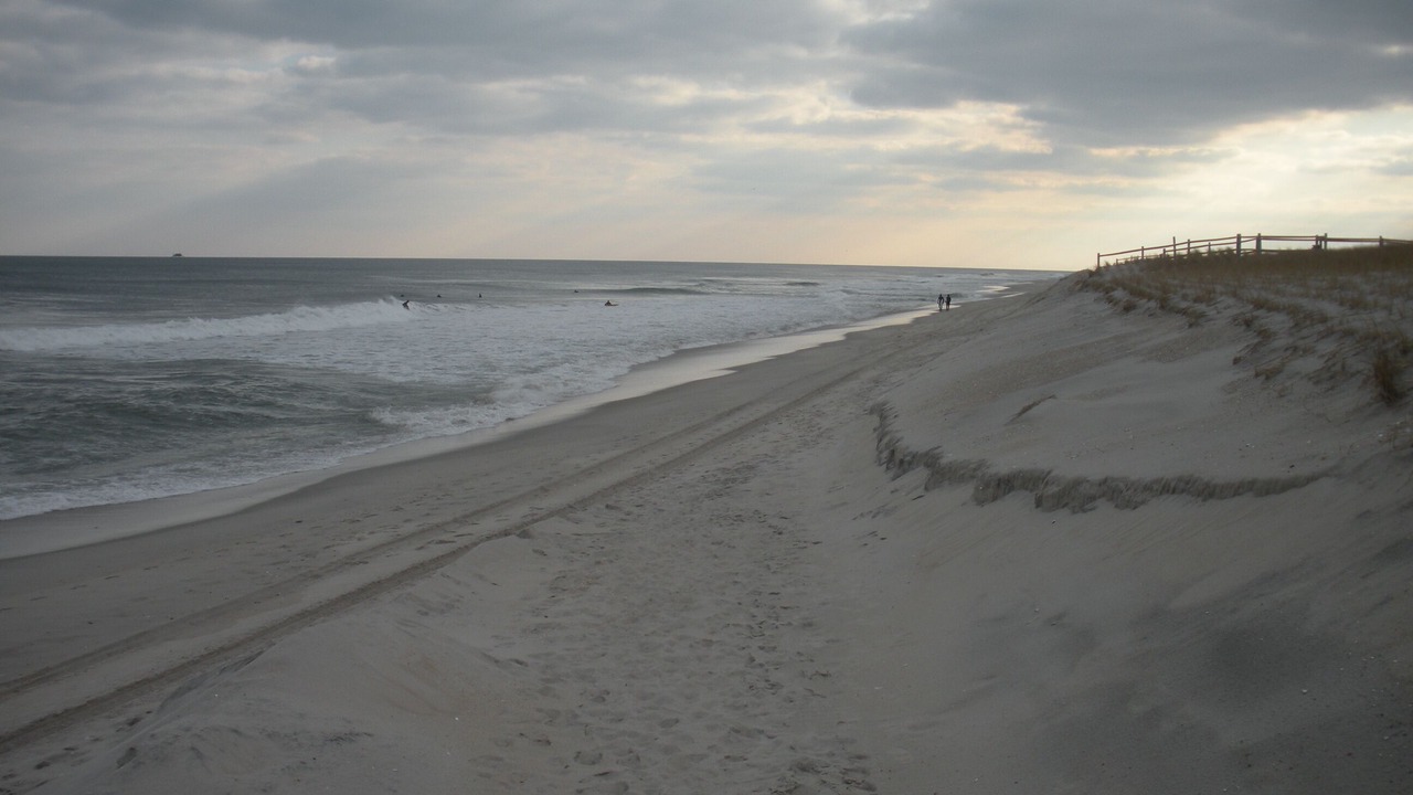 Photo of Others in Harvey Cedars