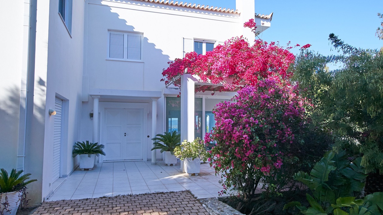 Photo of Others in Agios Emilianos