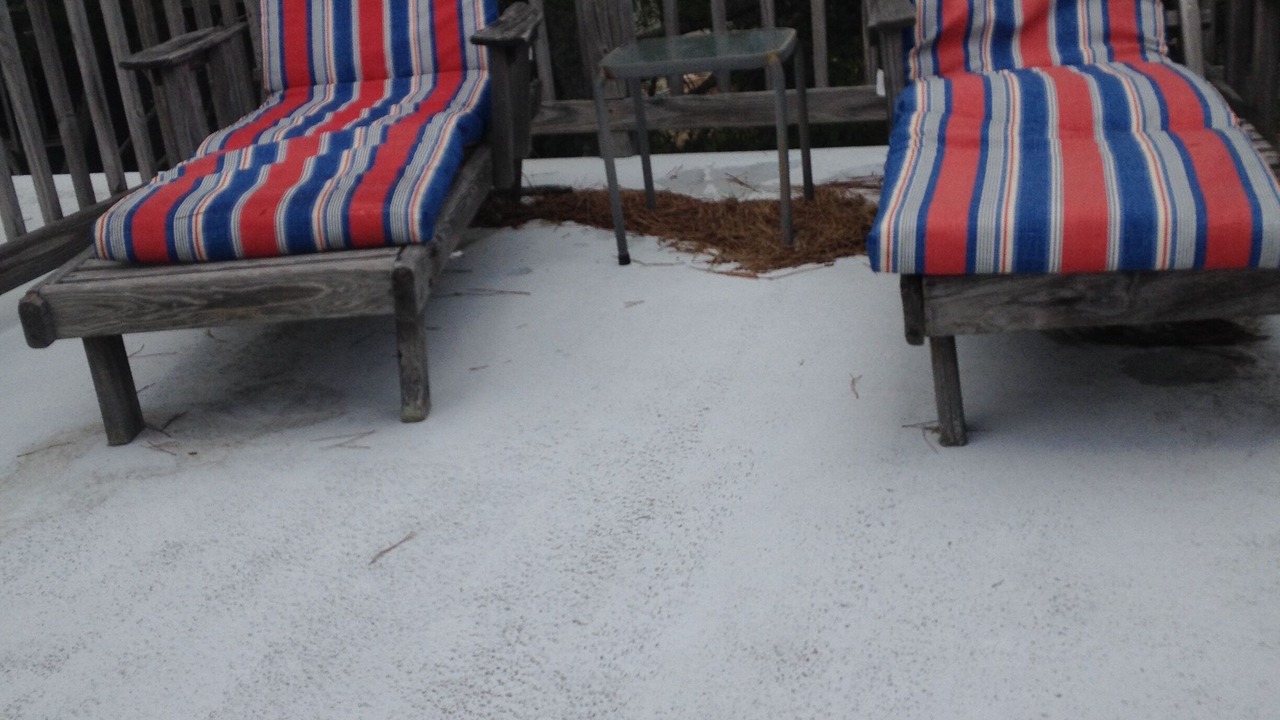 Photo of Others in Harvey Cedars
