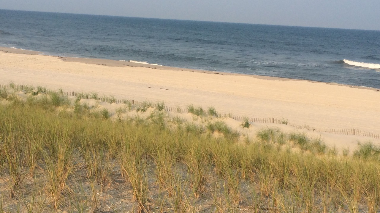 Photo of Others in Harvey Cedars