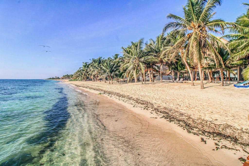 Photo of Others in Soliman Bay