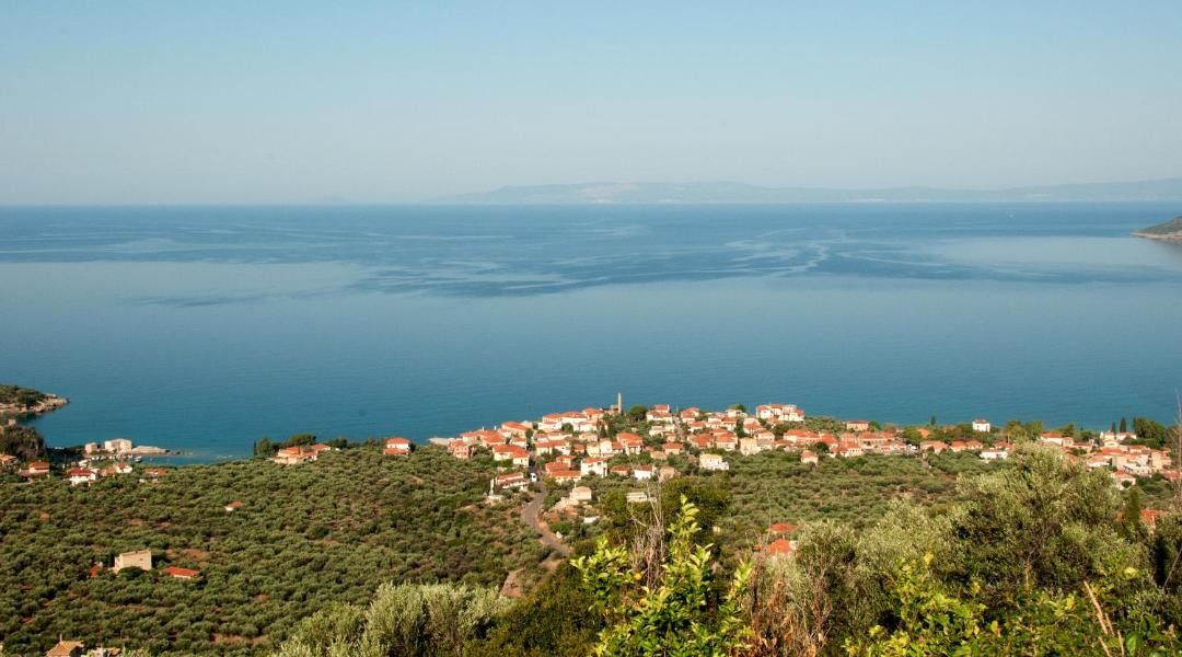 Photo of Others in Kardamyli