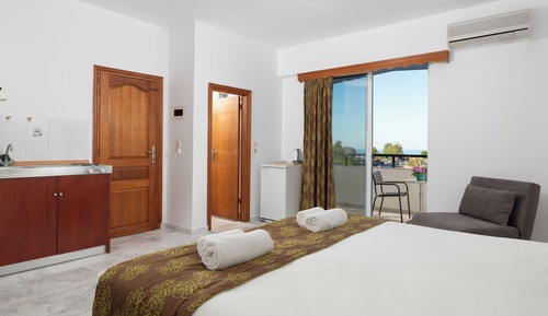 Studio, 1 King Bed (2 adults)