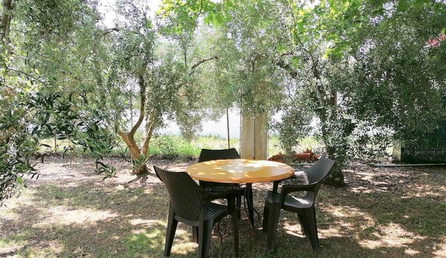 Homerez - House 1 km away from the beach for 4 ppl. with garden at Potidée