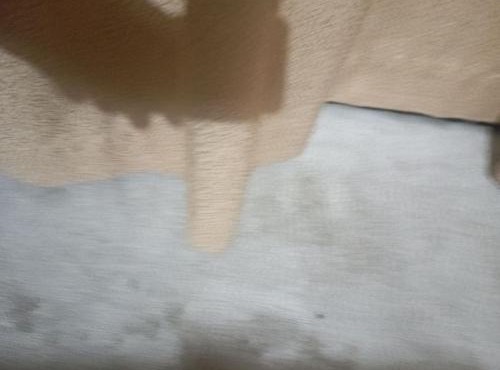 Un Endroit Pour Moi appartement Frank